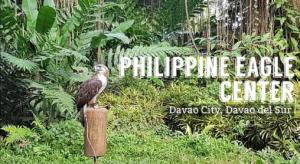 bezienswaardigheden in Davao City